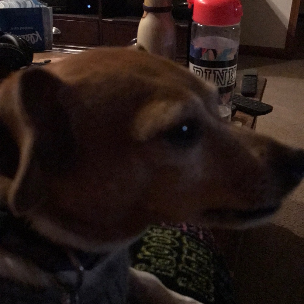 Meet your Posher, Lorraine